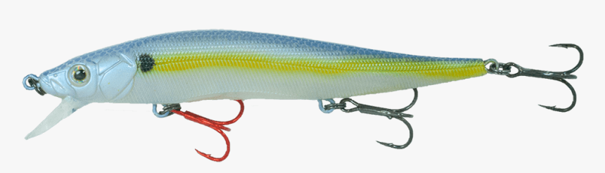Bait Fish, HD Png Download