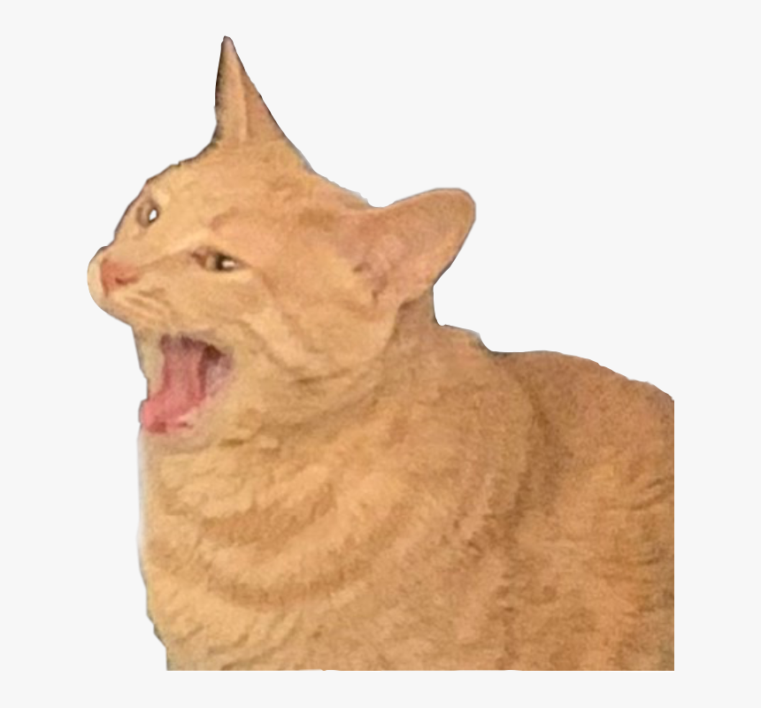 Matt Watson Cat Banana, HD Png Download