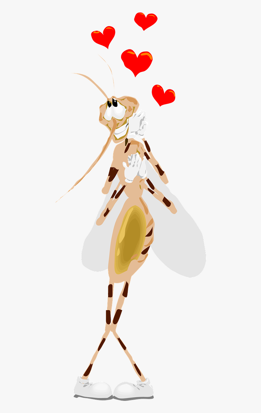 Mosquito Happy Love Bug Wings Png Image - Mosquito Love, Transparent Png