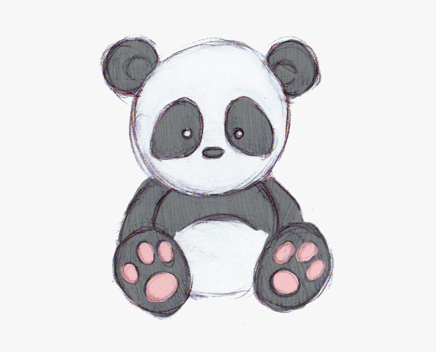 Panda And Cute Image - Panda Draw, HD Png Download
