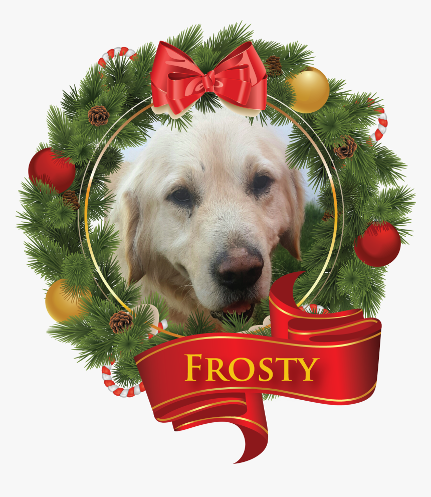 Transparent Wendy S Frosty Png - New Year, Png Download