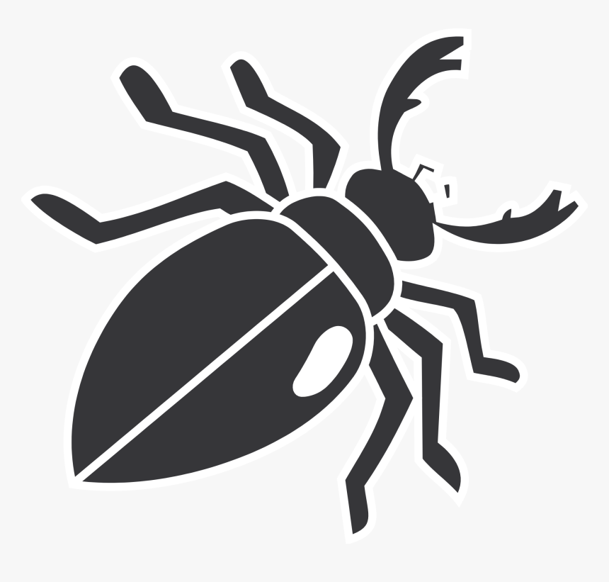 Beetle, Insect, Wings, Legs, Mandibles, Bug - Transparent Beetle Clipart, HD Png Download