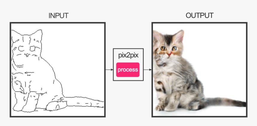 Generative Adversarial Networks Cats, HD Png Download