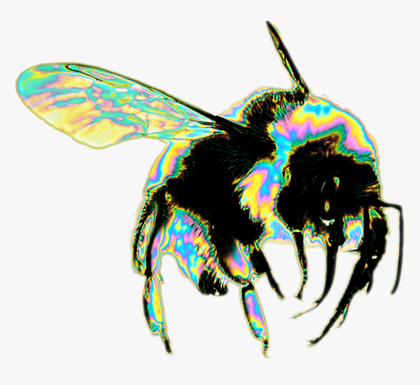 Bees Png, Transparent Png