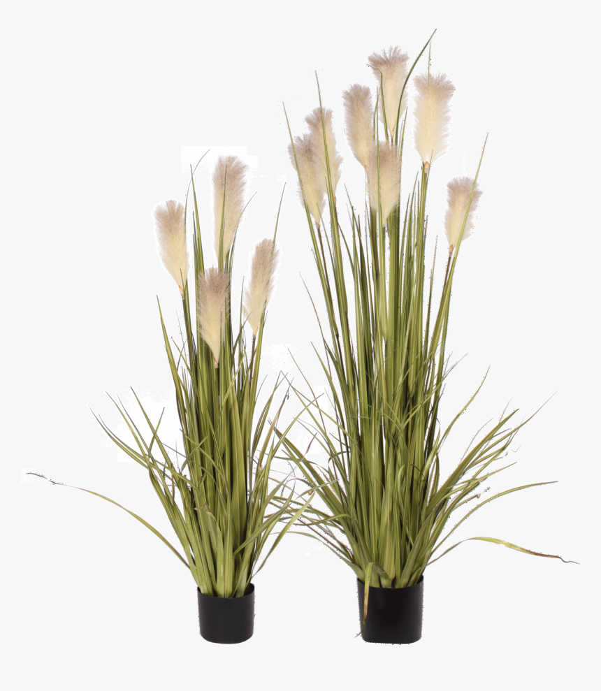P1527 - - Artificial Flowers Png Grass, Transparent Png