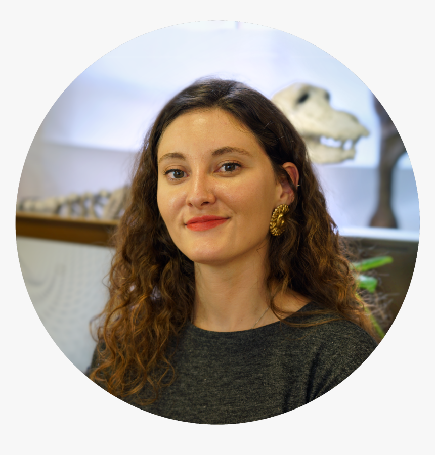 Girl, HD Png Download