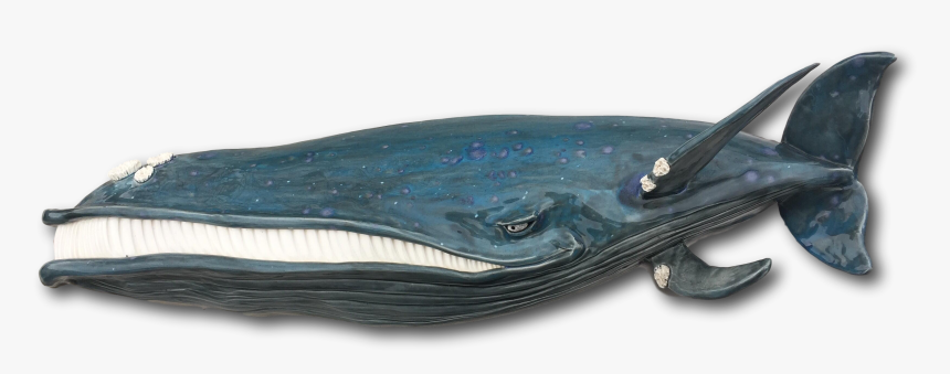 Transparent Jeezy Png - Coin Purse, Png Download