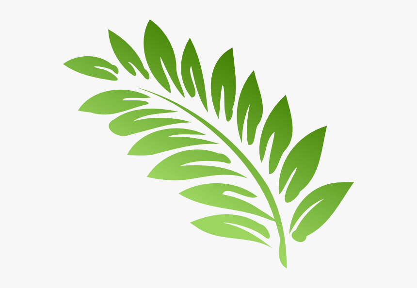 Fern Clipart, HD Png Download