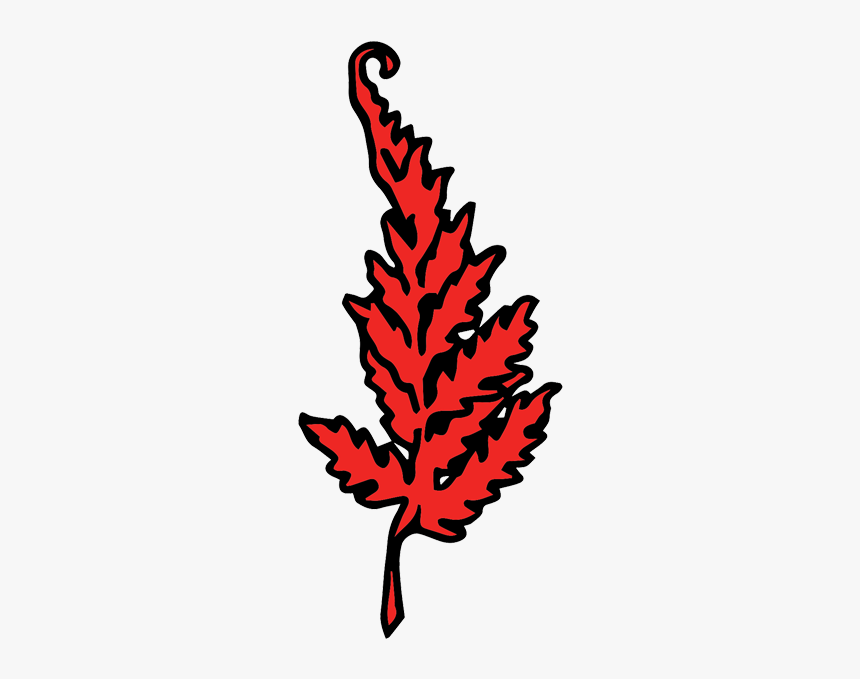 The Red Fern, HD Png Download