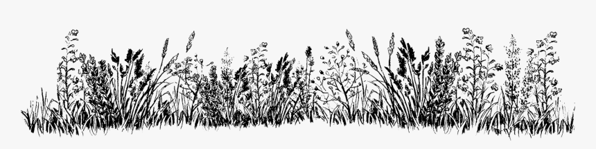 Old World Naturals All Natural Craft Delicatessen Troy, - Illustration, HD Png Download