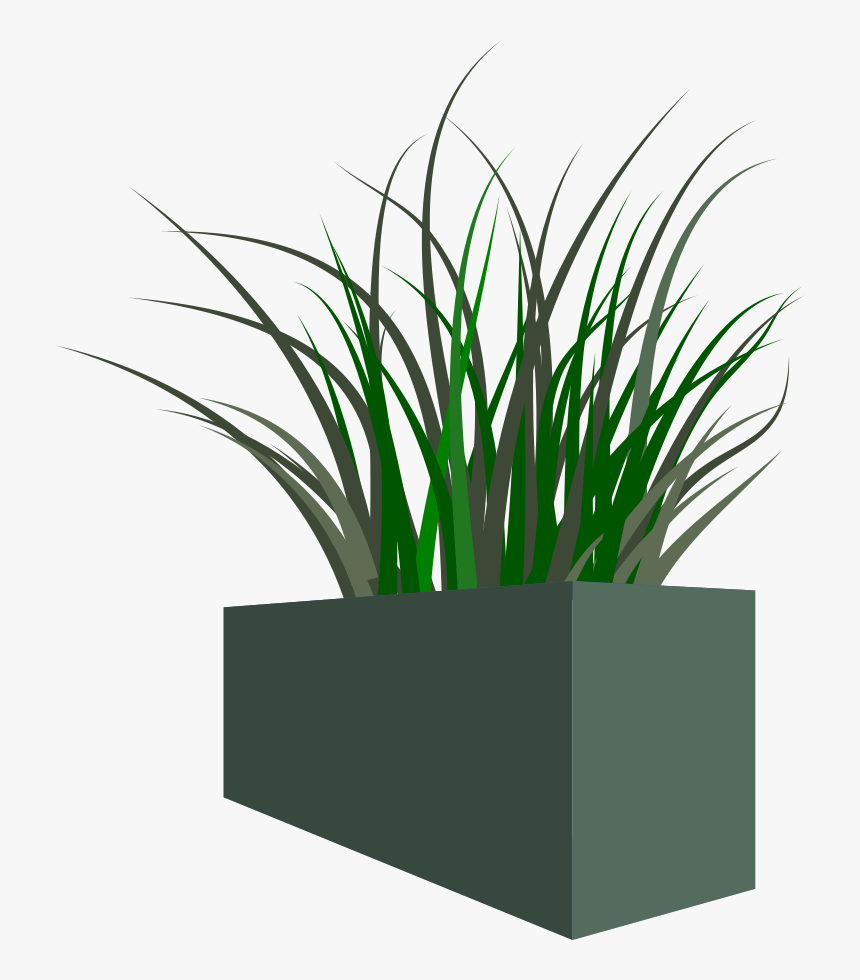 Grass In Square Planter - Transparent Png Flower Box, Png Download