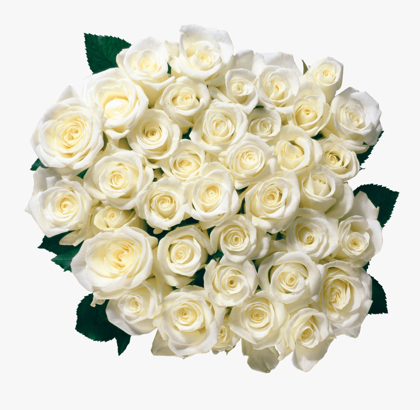 White Rose Bouquet Png - White Roses Flower Png, Transparent Png