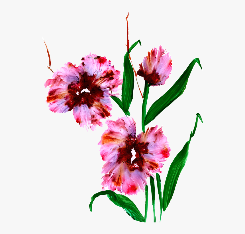 Common Peony, HD Png Download