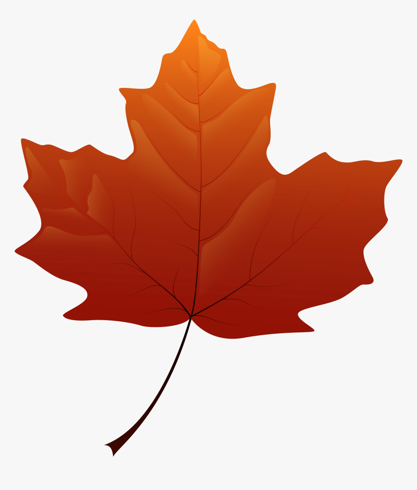 Leaf Png Clip Art, Transparent Png