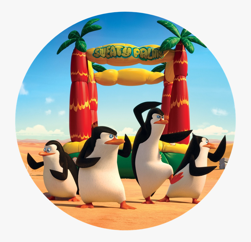 Penguin At The Beach - Madagascar Penguins, HD Png Download