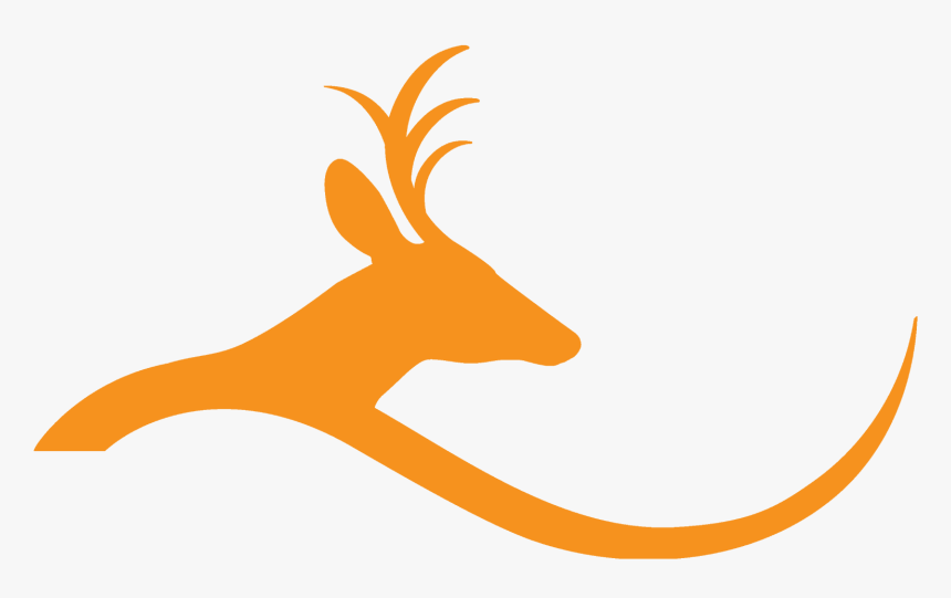 Deer Hill Expeditions - Deer Hill Expeditions Logo, HD Png Download