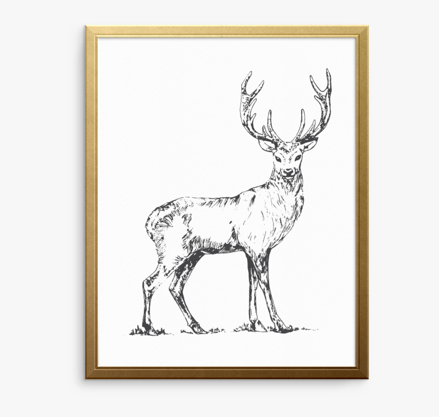 Deer Heart Art Print - Elk, HD Png Download