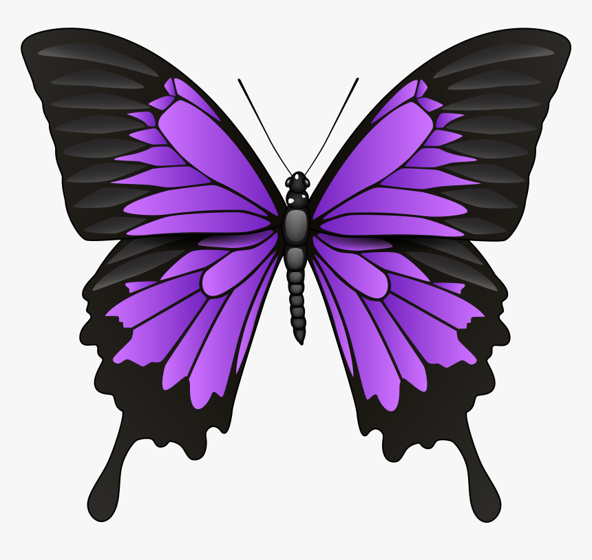 Purple Butterfly Png Clip Art, Transparent Png