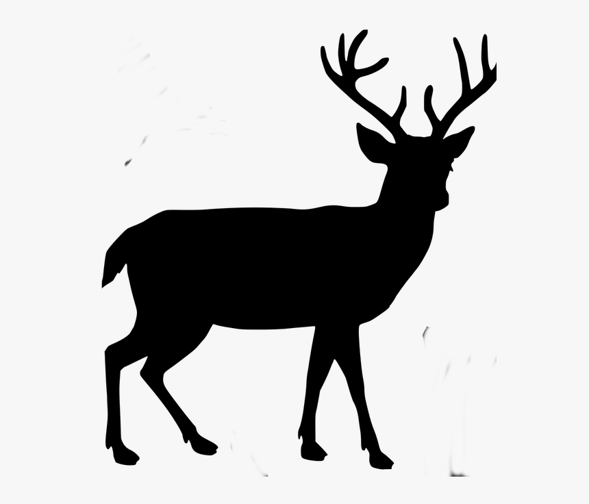 Transparent Deer Antlers Silhouette Png - Transparent Background Deer Silhouette Png, Png Download