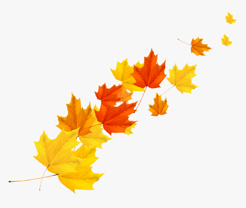 Clip Art Maple Autumn Transprent - Vector Autumn Leaves Png, Transparent Png