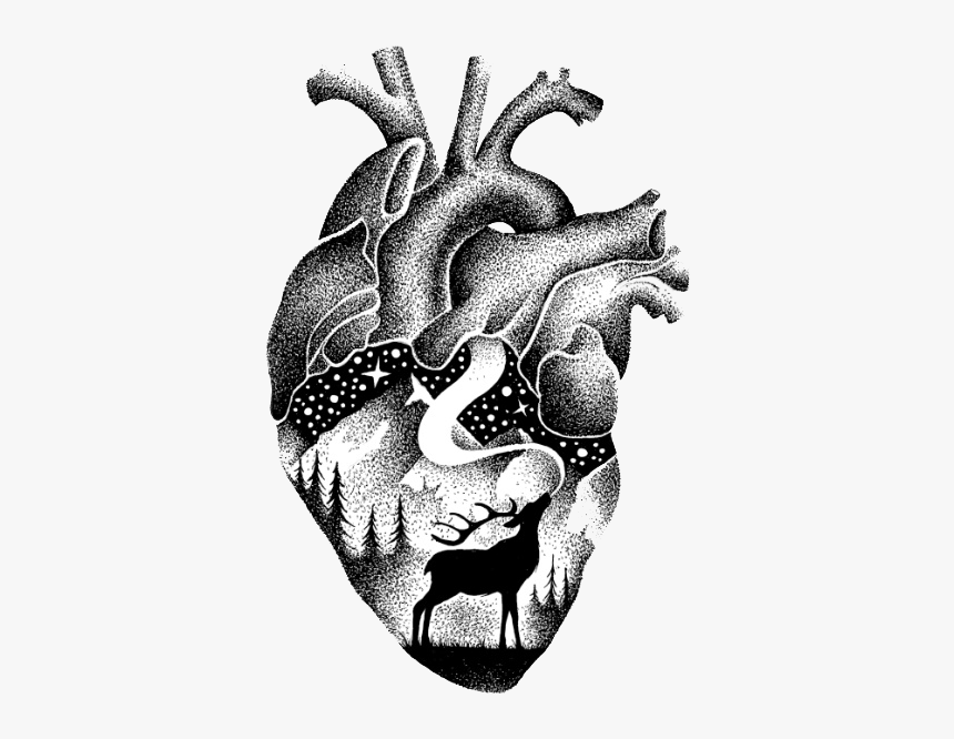 #heart #freetoedit #blackandwhite #deer #black #doodle - Drawing, HD Png Download