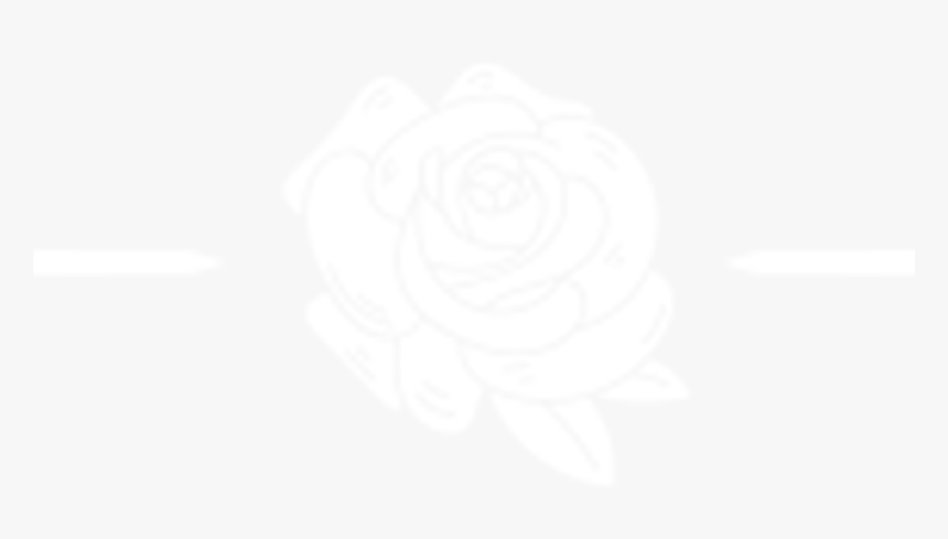 Garden Roses, HD Png Download