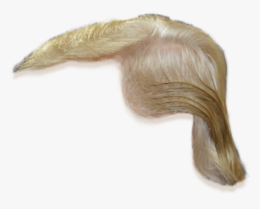 Coloring,long Hair,lace Wig,silver,fashion Accessory,artificial - Donald Trump Hair Png, Transparent Png