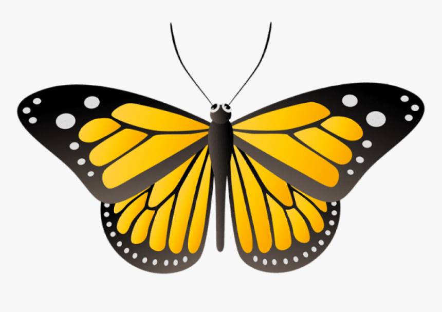 Butterfly Yellow Png - Yellow Clipart Butterfly Transparent, Png Download