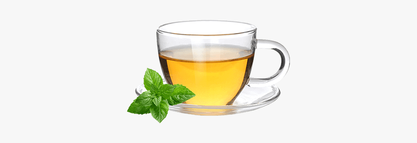 Soursop Tea - Green Tea, HD Png Download