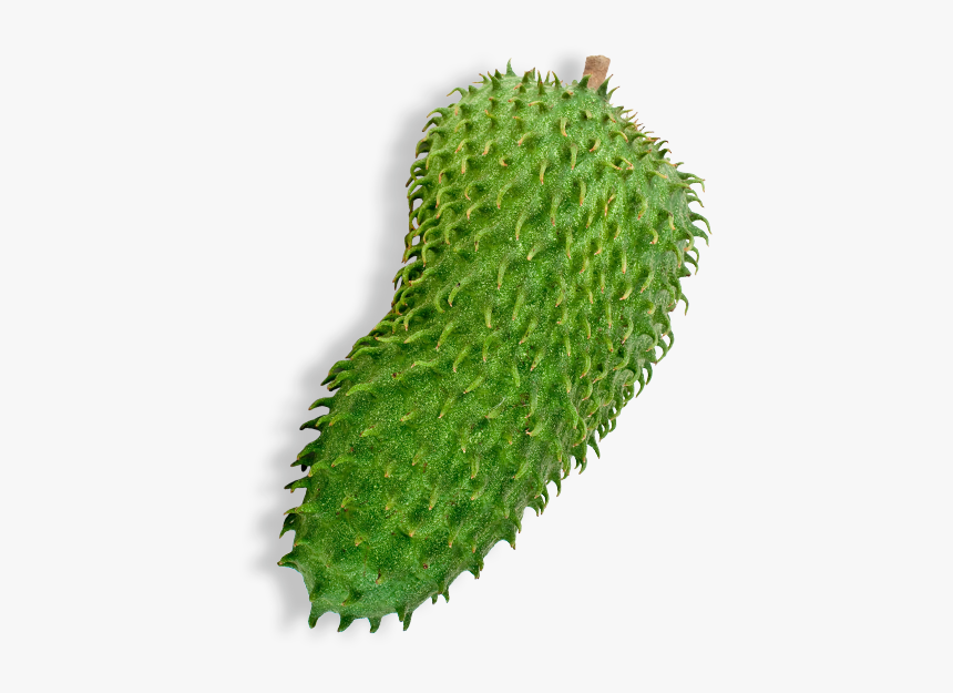 Dummy - Horned Melon, HD Png Download