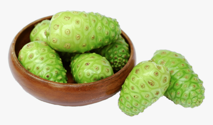 Fresh Noni Fruit - Bhip Global Products Noni, HD Png Download