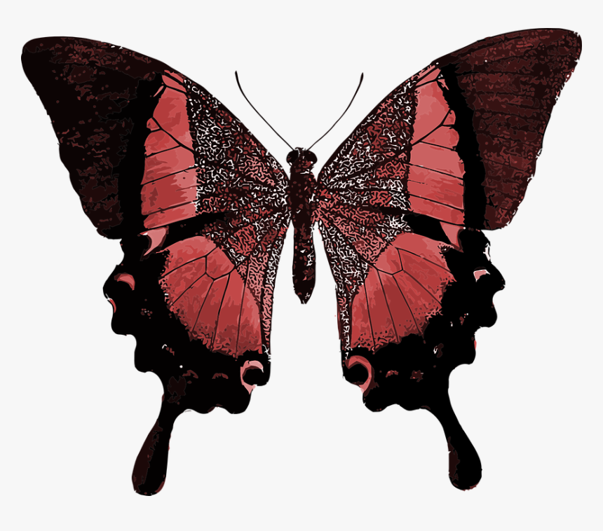Red Butterfly Png - Butterfly Quotes Your Wings Are Ready, Transparent Png