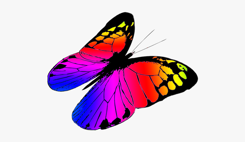 Free Butterfly Clipart - Colorful Butterflies Flying Png, Transparent Png
