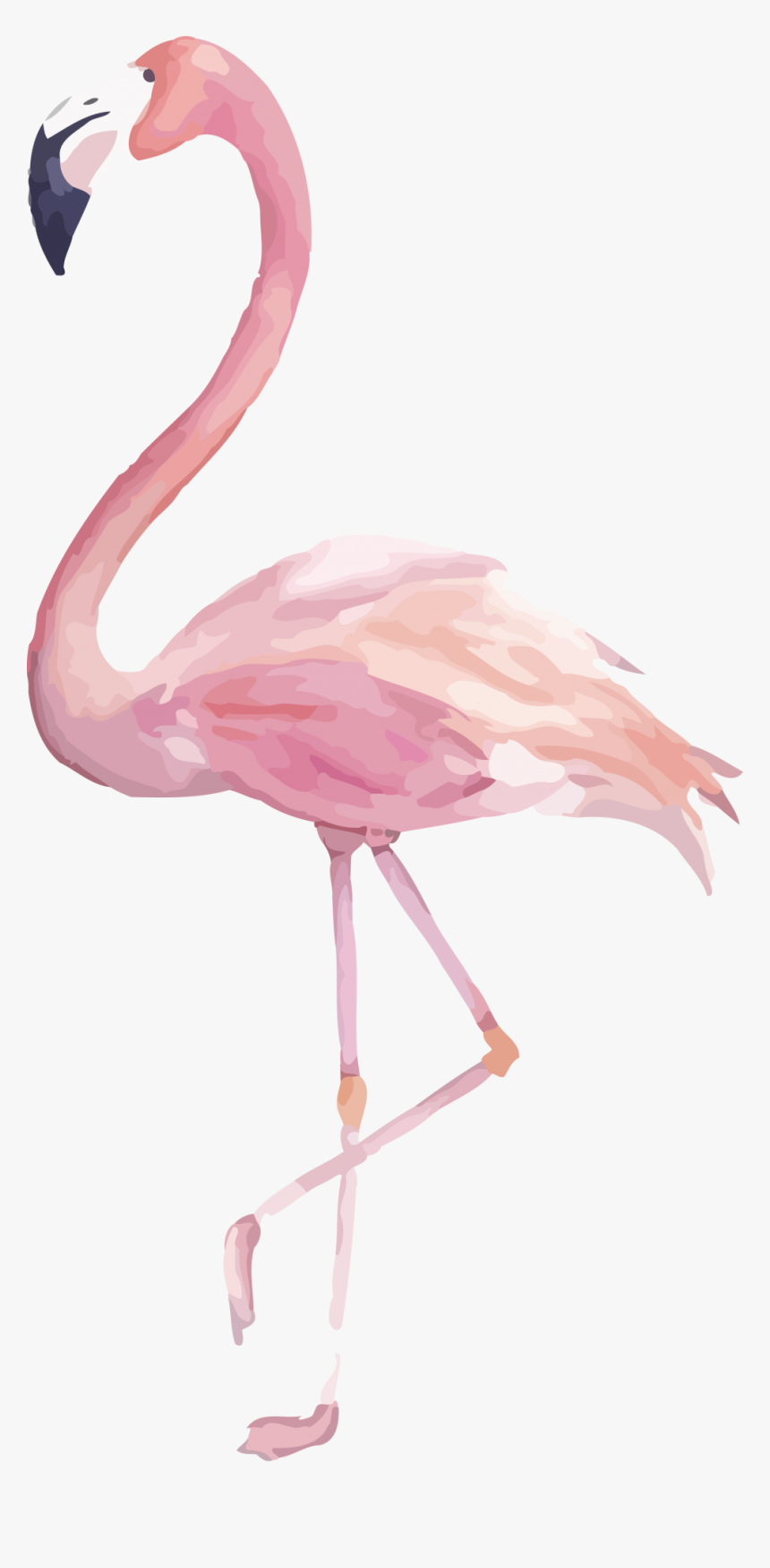 Watercolor Flamingo Clipart, Hd Png Download , Transparent Png Image - Pngitem