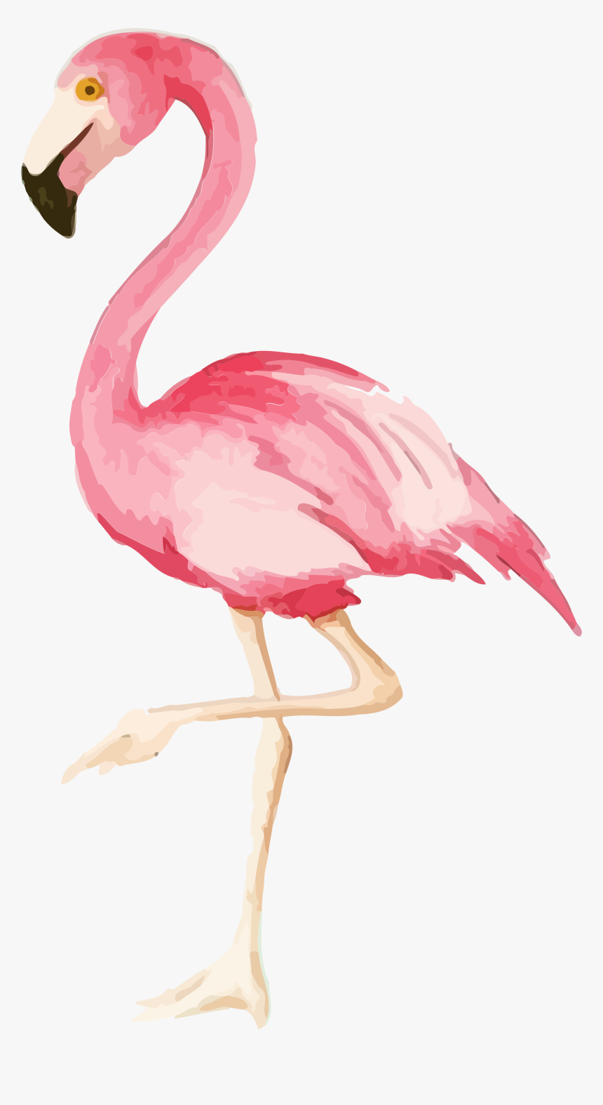 Watercolor Flamingo Print Flamingo Party Png - Iphone Flamingo, Transparent Png , Transparent Png Image - Pngitem