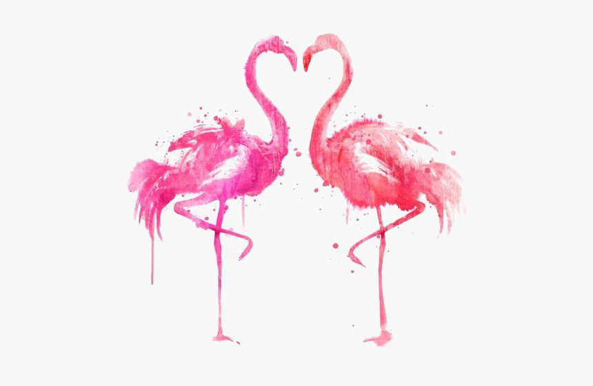 Flamingo Png, Transparent Png