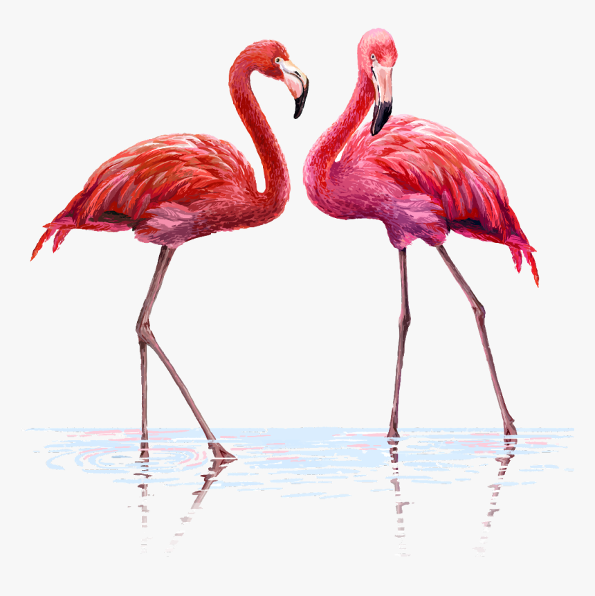 Transparent Flamingo Clipart - Flamingo Png, Png Download