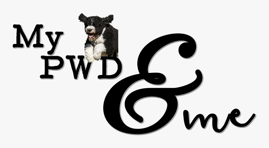 Skylifebd Fashion, HD Png Download