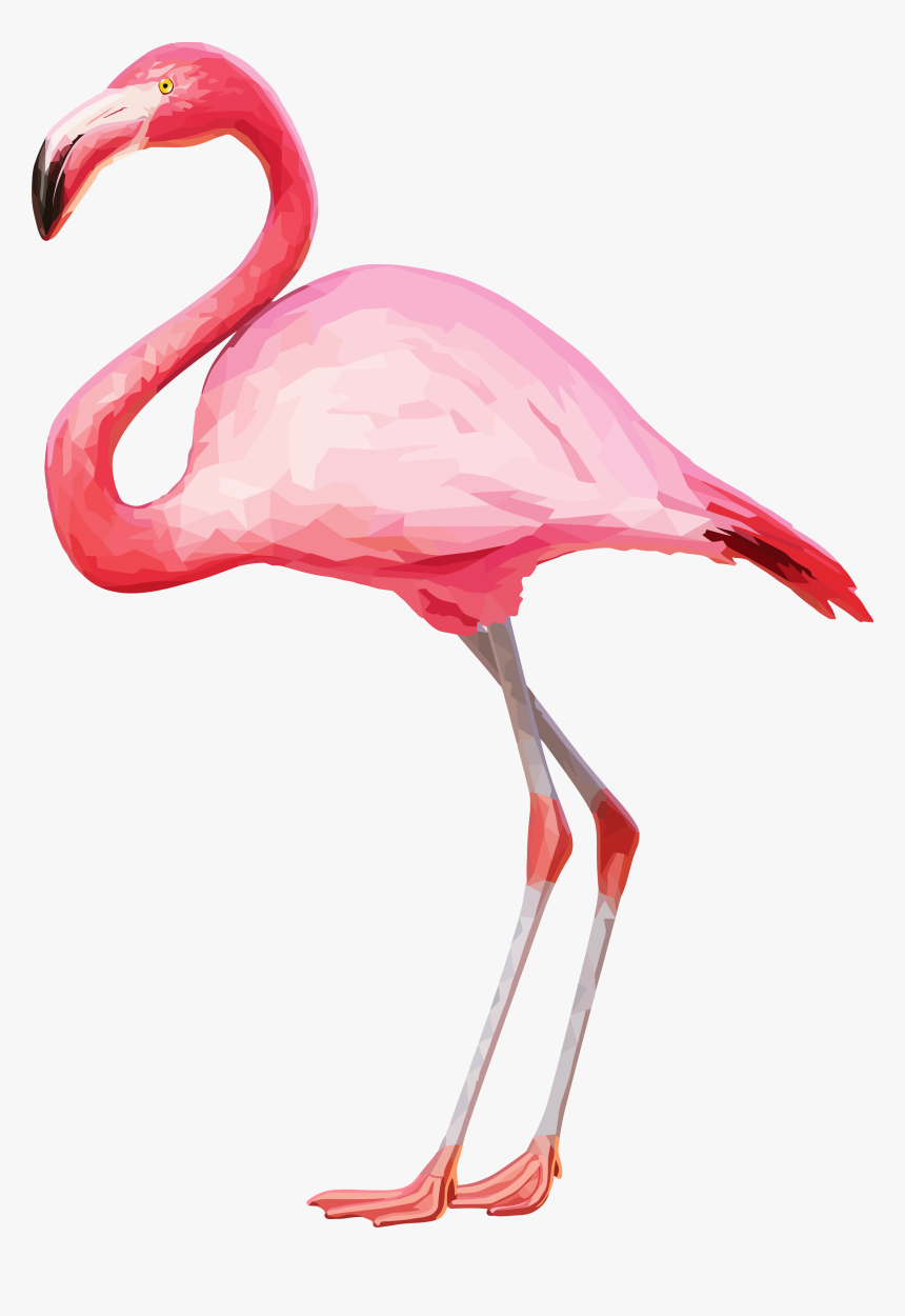 Flamingo Png, Transparent Png