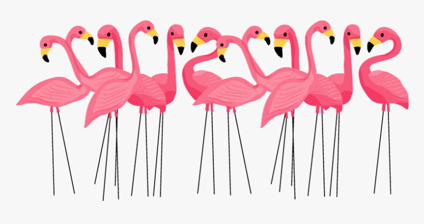 Flamingo Birthday Invitations, HD Png Download