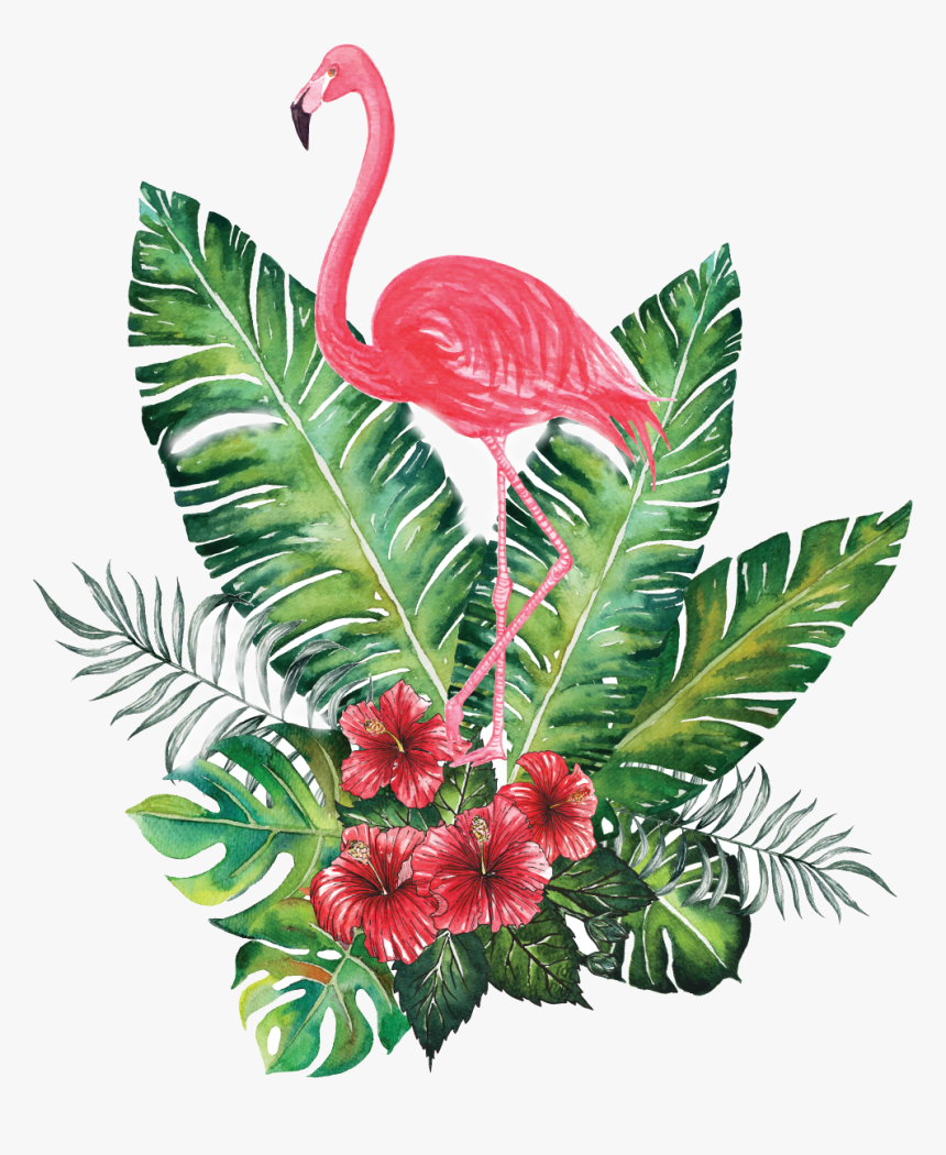 Flower Crowns Png -green Flower Crown Png - Tropical Flamingo, Transparent Png