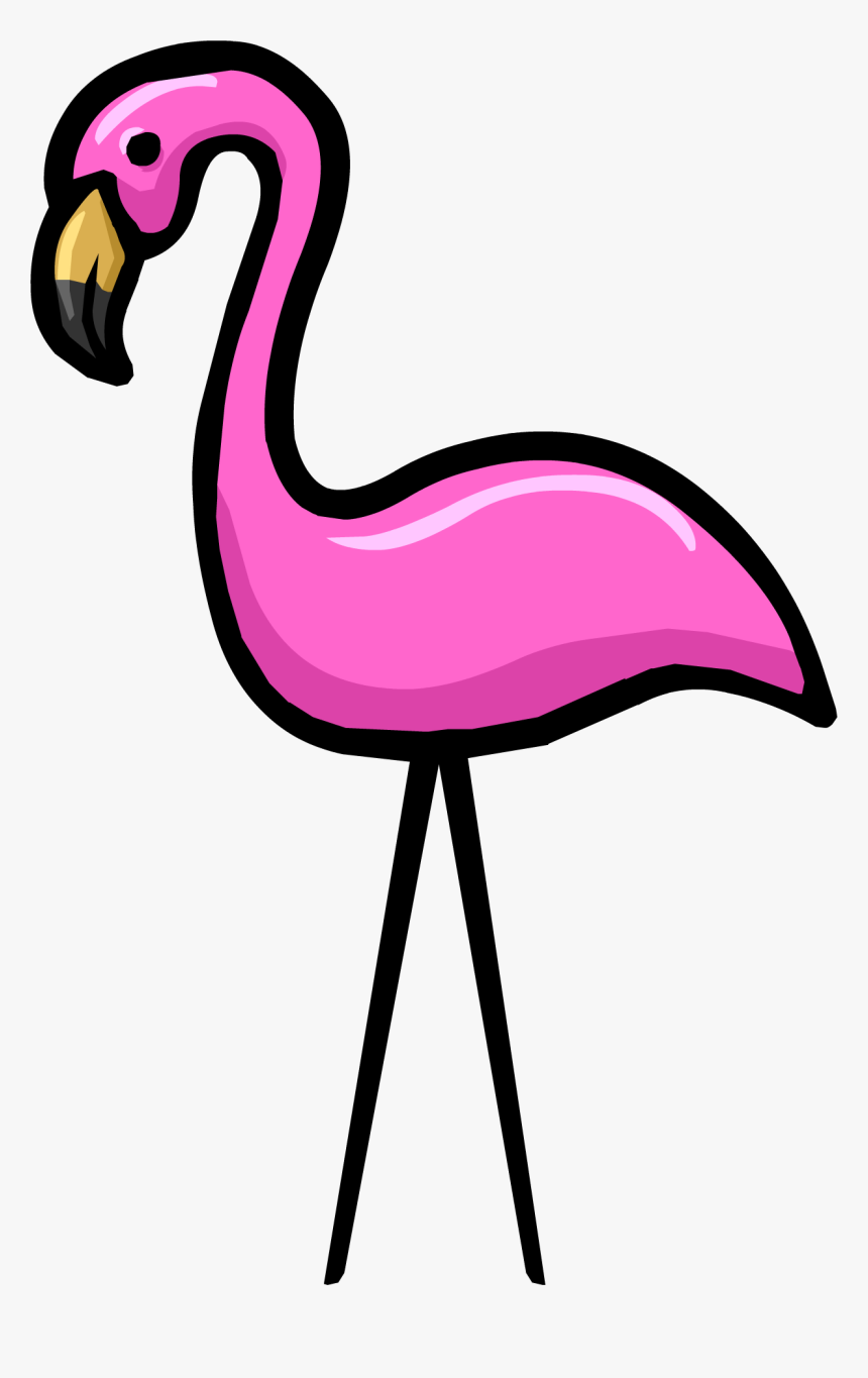 Pink Flamingo Png - Transparent Background Flamingo Transparent, Png Download