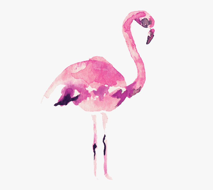 Video Courtesy Of Audrey Alba Films - Transparent Pink Flamingo Watercolor, HD Png Download