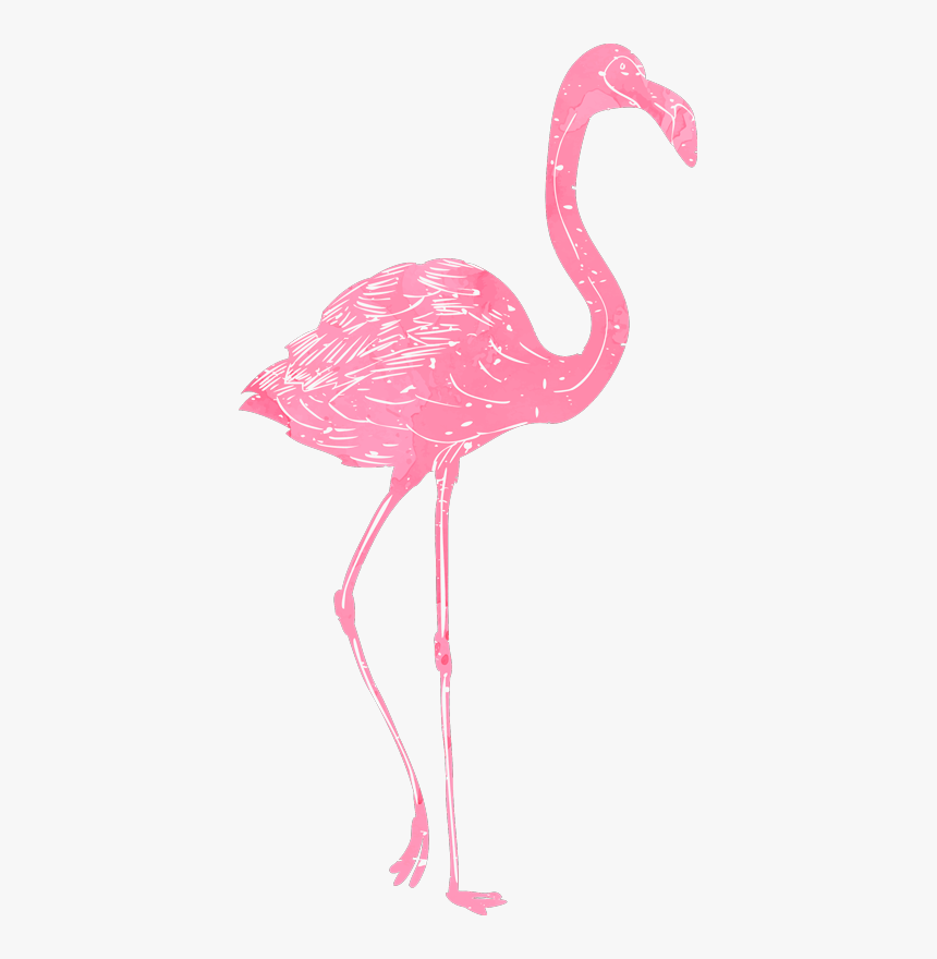Vinilos De Flamencos Png, Transparent Png