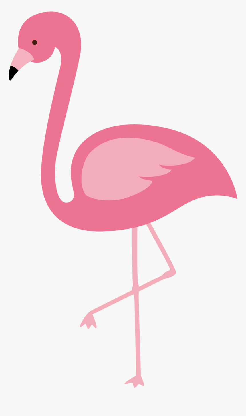 Flamingos Bird Euclidean Vector - Transparent Flamingo Clip Art, HD Png Download