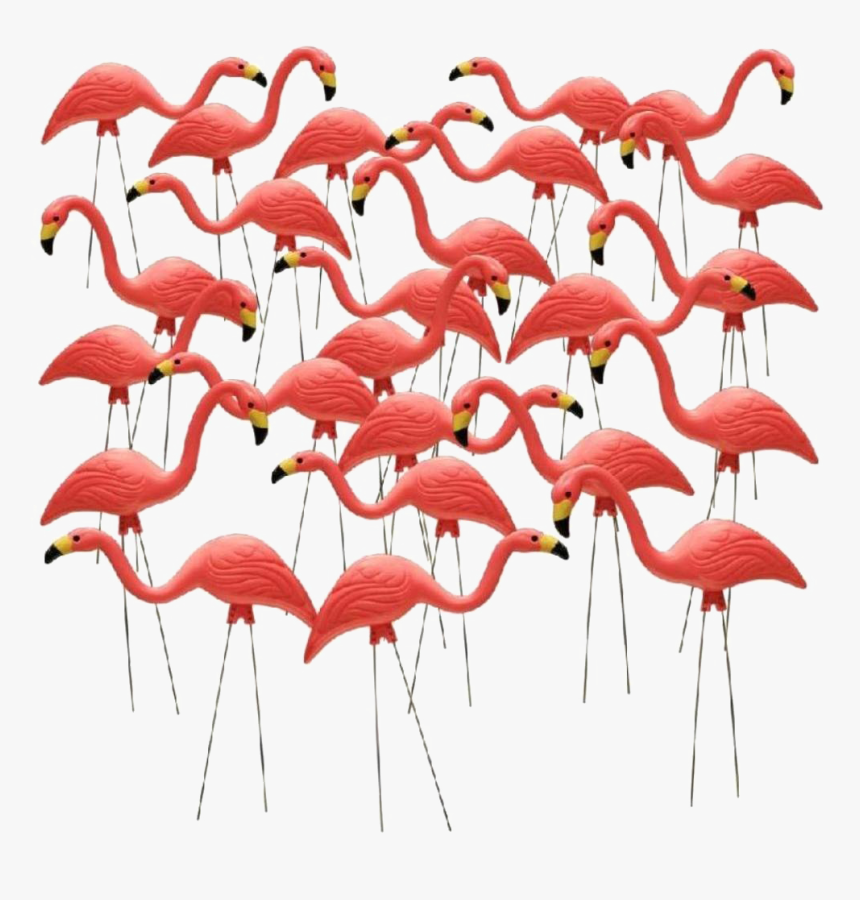 Pink Flamingos Garden, HD Png Download