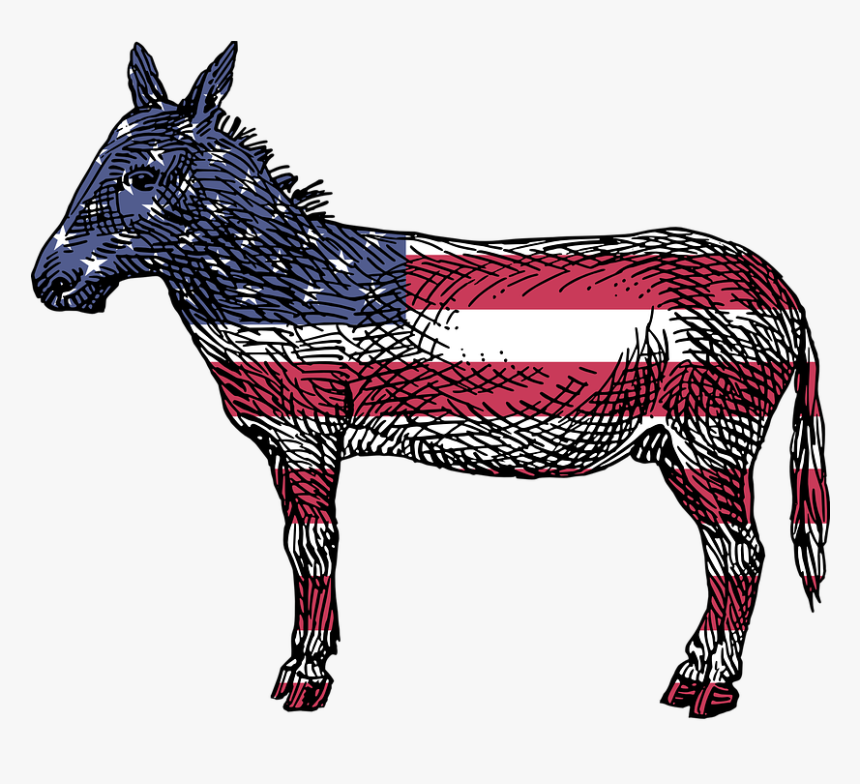 America, Democrats, Ass, Democratic, Donkey, Flag, - American Donkey, HD Png Download
