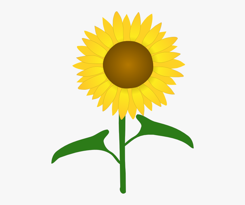Like A Sunflower Quotes, HD Png Download