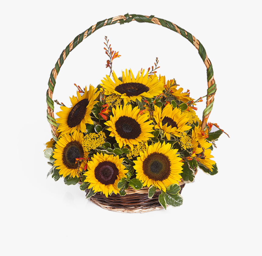 Canasta De Girasoles Png , Png Download - Canasta De Girasoles Y Rosas, Transparent Png