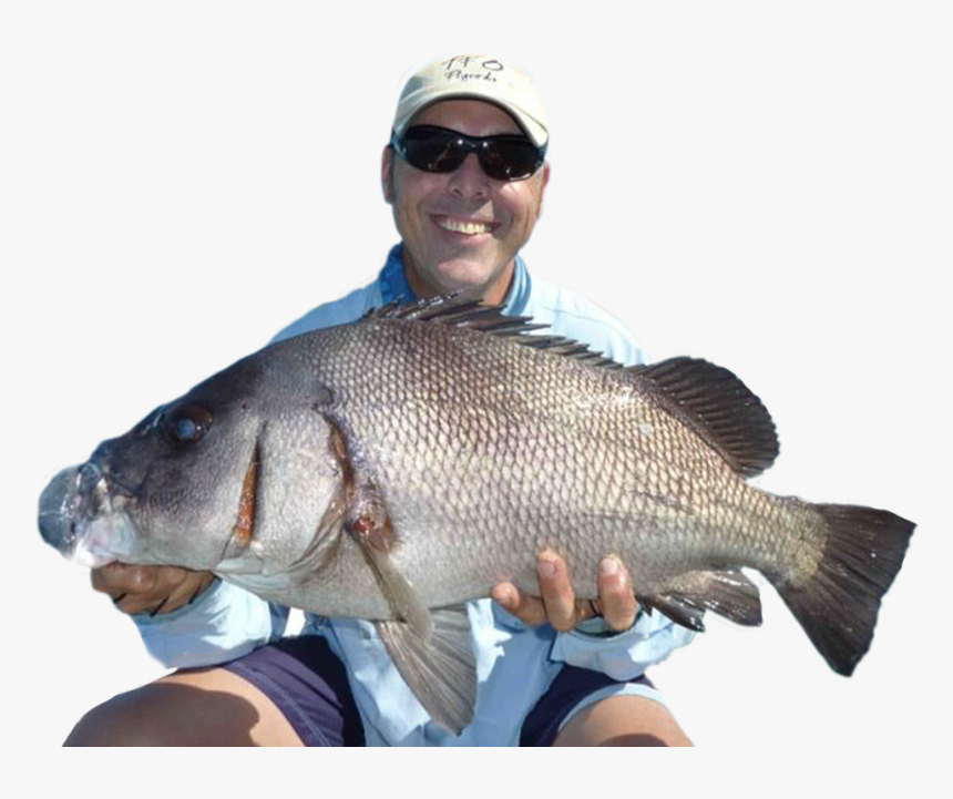 Andy Andysfishing - Pull Fish Out Of Water, HD Png Download